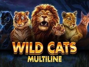 Wild Cats Multiline game screenshot